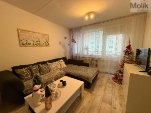 Pronájem bytu 2+1, Bílina - Teplické Předměstí, Sídliště Za Chlumem, 55 m2