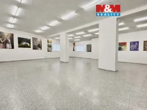 Pronájem obchodního prostoru, Louny, Říční, 216 m2