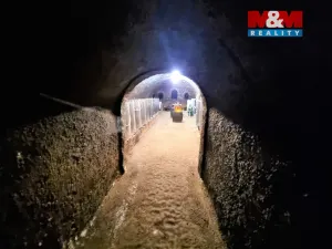 Prodej vinného sklepa, Perná, 125 m2