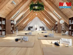 Prodej ubytování, Borušov - Svojanov, 1890 m2