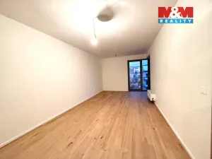 Pronájem bytu 2+kk, Brandýs nad Labem-Stará Boleslav - Brandýs nad Labem, Dřevčická, 52 m2