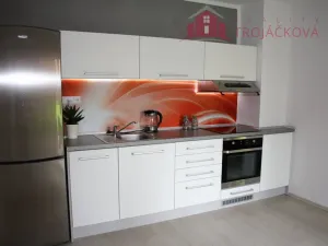 Pronájem bytu 1+1, Kozlovice, 50 m2