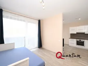 Pronájem bytu 1+kk, Praha - Žižkov, Olgy Havlové, 38 m2