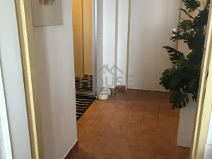 Prodej bytu 2+1, Odolena Voda, 67 m2