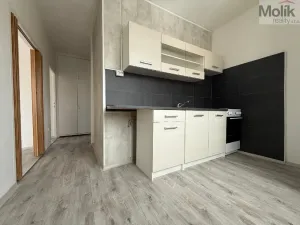 Pronájem bytu 2+1, Most, Jaroslava Vrchlického, 56 m2