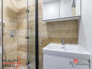 Pronájem bytu 2+1, Opava, Hany Kvapilové, 57 m2