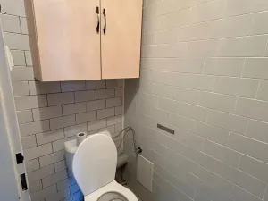 Pronájem obchodního prostoru, Praha - Vršovice, V olšinách, 41 m2