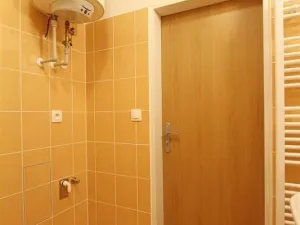 Pronájem bytu 1+kk, Brno, Bučkova, 27 m2