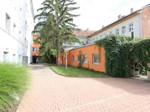Pronájem bytu 1+kk, Brno - Zábrdovice, Cejl, 10 m2