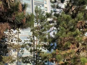 Prodej bytu 3+1, Praha - Háje, Matúškova, 77 m2