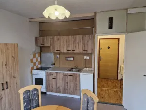 Prodej bytu 1+1, Teplice - Trnovany, Julia Payera, 36 m2