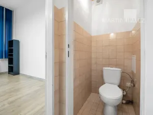 Prodej obchodního prostoru, Praha - Vršovice, Kazašská, 32 m2