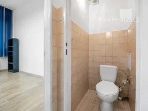 Prodej obchodního prostoru, Praha - Vršovice, Kazašská, 32 m2
