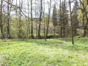 Prodej pole, Tachov, 55666 m2