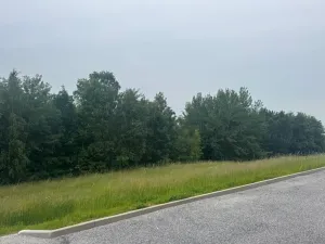 Dražba pozemku pro bydlení, Slavče, 1251 m2