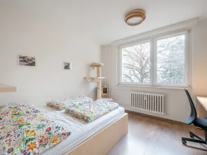 Prodej bytu 3+kk, Brno, ulice Čoupkových, 54 m2