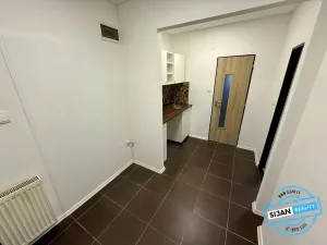 Pronájem obchodního prostoru, Opava, Pekařská, 51 m2