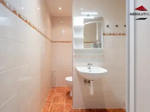 Pronájem bytu 1+kk, Brno, Ukrajinská, 37 m2