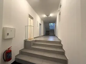 Pronájem kanceláře, Brno, Kosmákova, 50 m2