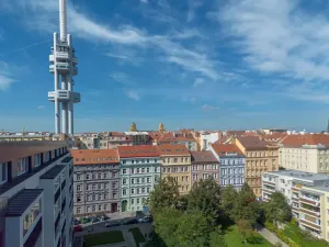 Prodej bytu 1+kk, Praha - Žižkov, Bořivojova, 16 m2