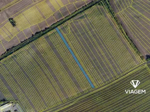 Prodej pole, Prušánky, 2240 m2