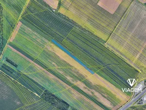 Prodej podílu pole, Rajhrad, 2808 m2