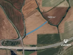 Prodej pole, Olšovec, 7491 m2