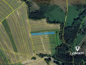 Prodej pole, Bousín, 2769 m2