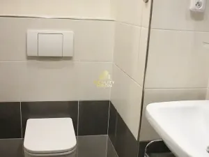 Prodej bytu 2+1, Chomutov, Vrchlického, 55 m2