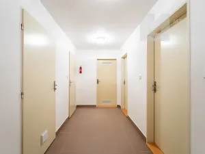 Prodej rodinného domu, Brno, Výholec, 290 m2