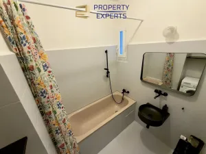 Pronájem bytu 1+1, Brno - Veveří, Mášova, 53 m2