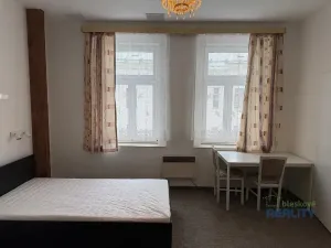 Pronájem bytu 1+kk, Praha - Žižkov, Vlkova, 25 m2