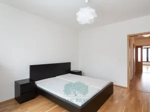 Pronájem bytu 3+kk, Praha - Vinohrady, Korunní, 106 m2