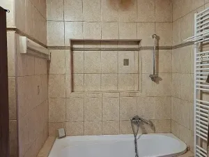 Prodej rodinného domu, Frýdlant nad Ostravicí, Hlavní, 300 m2