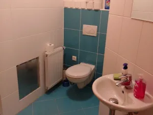 Pronájem rodinného domu, Plzeň - Černice, Koukolová, 80 m2