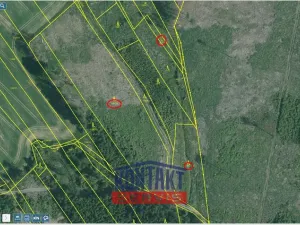 Prodej lesa, Žirovnice, 11124 m2