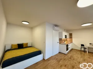 Pronájem bytu 1+kk, Praha, Basilejské náměstí, 43 m2