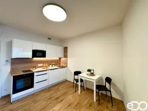 Pronájem bytu 1+kk, Praha, Basilejské náměstí, 43 m2