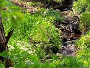 Prodej pozemku pro bydlení, Nezdice na Šumavě, 3411 m2
