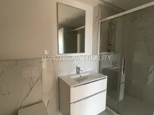 Pronájem bytu 4+kk, České Budějovice - České Budějovice 2, Branišovská, 103 m2