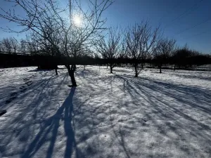 Prodej pozemku pro bydlení, Lipník nad Bečvou, 2231 m2