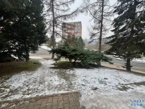 Pronájem bytu 2+kk, Bílina, Tylova, 40 m2