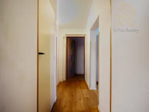 Prodej vícegeneračního domu, Modlany, 380 m2