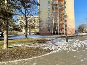 Pronájem bytu 1+1, Ostrava, Lechowiczova, 45 m2