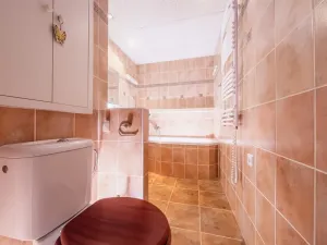 Pronájem bytu 3+1, Chomutov, Zahradní, 60 m2