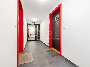 Prodej bytu 2+kk, Liberec - Liberec III-Jeřáb, U Nisy, 10145 m2