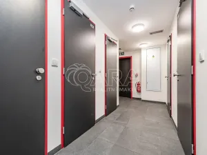 Prodej bytu 2+kk, Liberec - Liberec III-Jeřáb, U Nisy, 10145 m2