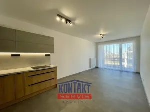 Pronájem bytu 2+kk, České Budějovice, U Branišovského lesa, 54 m2