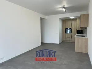 Pronájem bytu 2+kk, České Budějovice, U Branišovského lesa, 54 m2