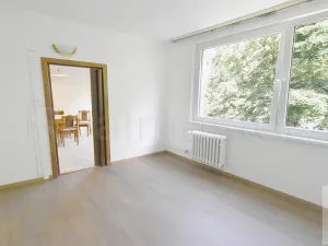 Pronájem bytu 3+1, Ústí nad Labem - Ústí nad Labem-centrum, SNP, 66 m2